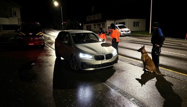 Zwei Führerscheine eingezogen und mehrstündiges Fahrverbot bei Verkehrskontrollen verhängt