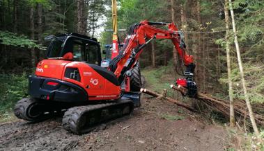 Nachfragebedingt mehr geholzt