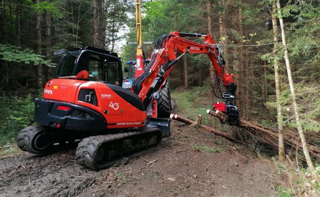 Nachfragebedingt mehr geholzt