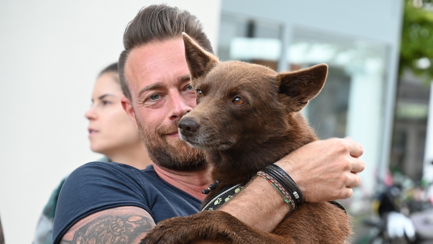 Hündin Sam ist zurzeit bei Roman Schläpfer in Widnau in den Ferien – und da sichtlich gut aufgehoben. Hündin Sam ist zurzeit bei Roman Schläpfer in Widnau in den Ferien – und da sichtlich gut aufgehoben.