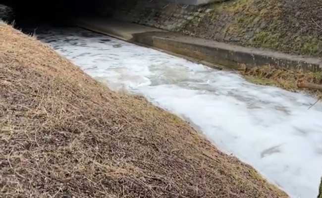 Betrieb entsorgte Reinigungsmittel illegal – Steinlibach begann zu schäumen