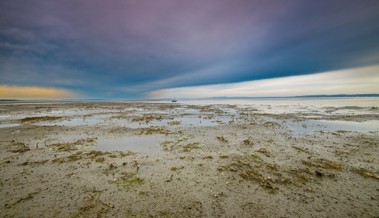 Wasserstandsmeldung: Eher eine Sumpflandschaft als das Ufer des Bodensees