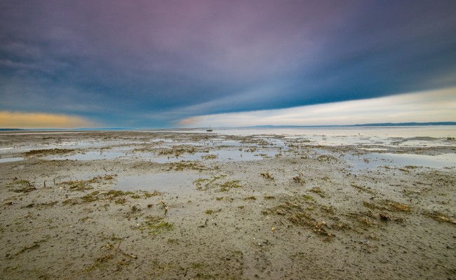 Wasserstandsmeldung: Eher eine Sumpflandschaft als das Ufer des Bodensees