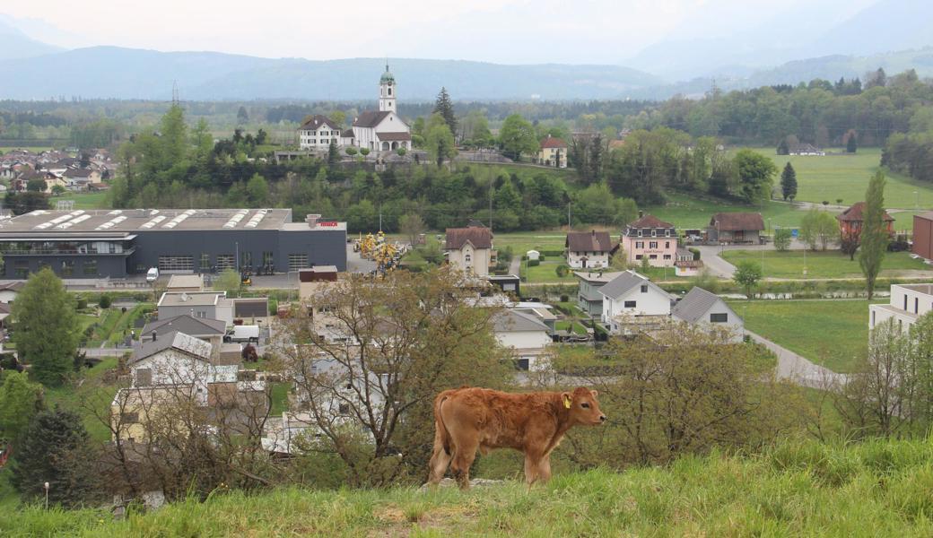 In der Gemeinde Rüthi stehen noch Baulandreserven in der Bauzone zur Verfügung. 