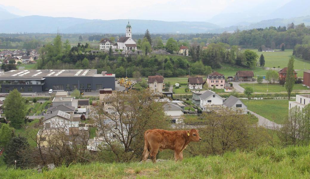 In der Gemeinde Rüthi stehen noch Baulandreserven in der Bauzone zur Verfügung.  In der Gemeinde Rüthi stehen noch Baulandreserven in der Bauzone zur Verfügung.