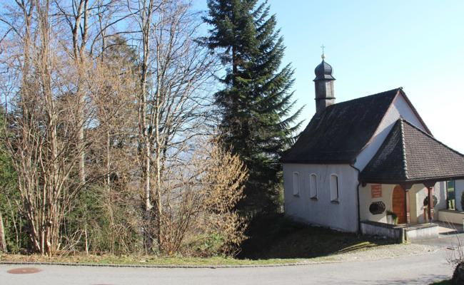 Chapf verliert gut zwei Dutzend Bäume