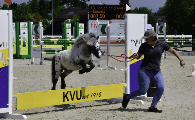 50 Bilder von der Pony-Mini-Challenge in Diepoldsau