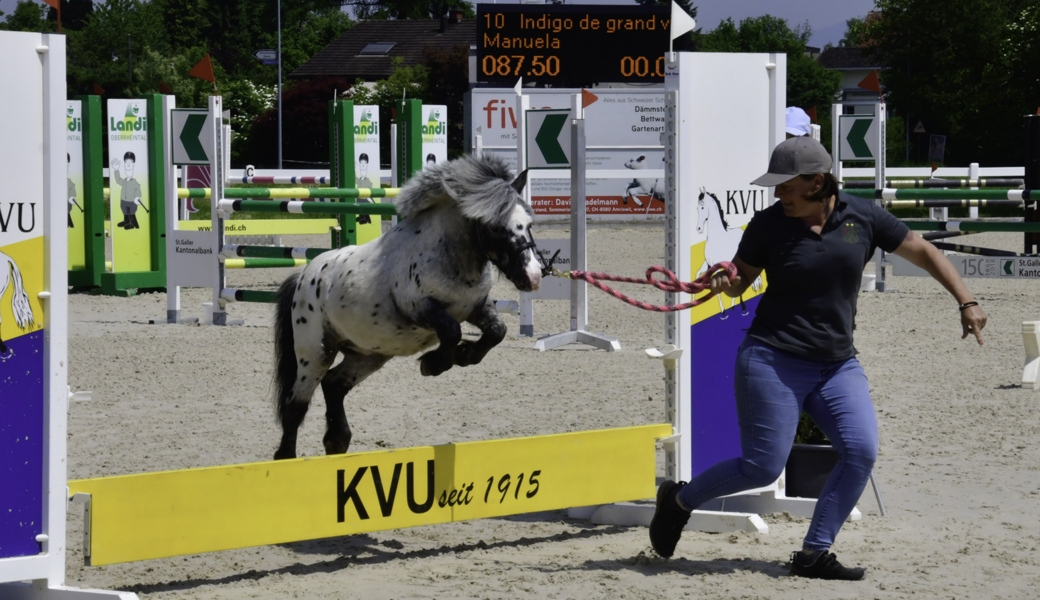 Dsc2596a (1) Dsc2596a (1)