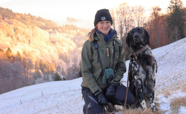 Rothirsche passen sich dem Menschen an und suchen immer mehr Ruhe