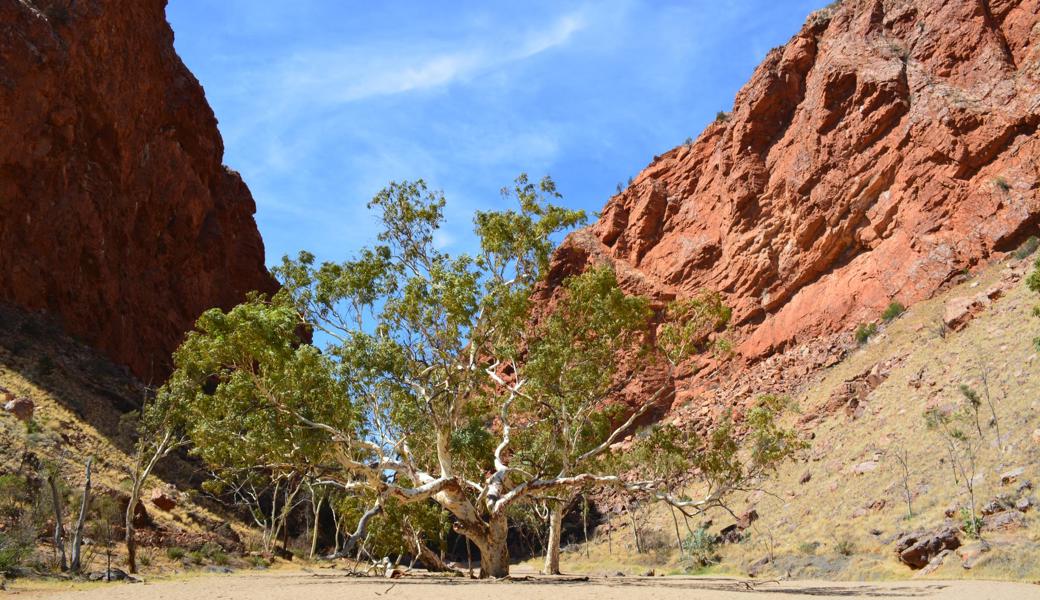 MacDonell Range