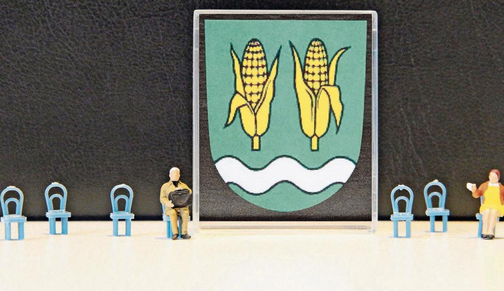 Nur zwei der sieben Diepoldsauer Gemeinderäte (Präsident Roland Wälter und Gemeinderätin Karin Aerni-Stricker) sind in Sachen Gemüsehalle unbefangen.