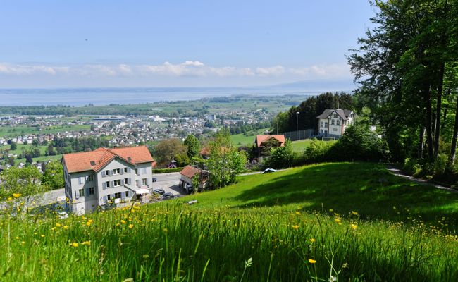 Deutliches Ergebnis bei der Ergänzungswahl in den Gemeinderat