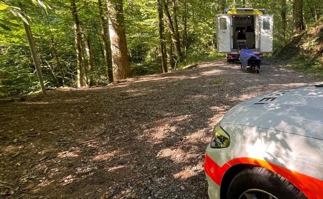 Beim Pilzsuchen mit dem Sohn: 72-jähriger Wanderer stürzt Felswand hinunter und stirbt
