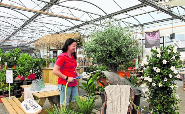 Hitzefrei für Bucher-Personal