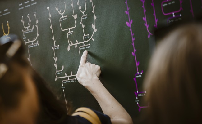 Einsicht in die Stammbäume von 18 Auer Familien: Informationsabend zur Familiengeschichte