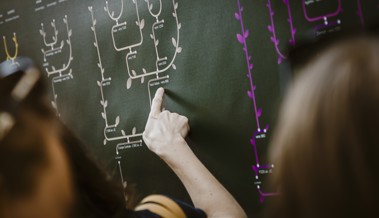 Einsicht in die Stammbäume von 18 Auer Familien: Informationsabend zur Familiengeschichte Einsicht in die Stammbäume von 18 Auer Familien: Informationsabend zur Familiengeschichte