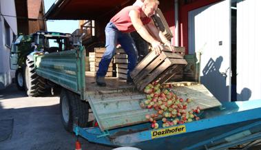 Schwacher Start in die Mostsaison