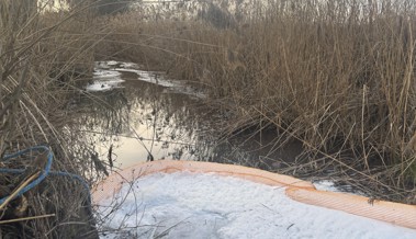Löschschaum im Seegraben: Bachsperren für die nächsten Tage erstellt