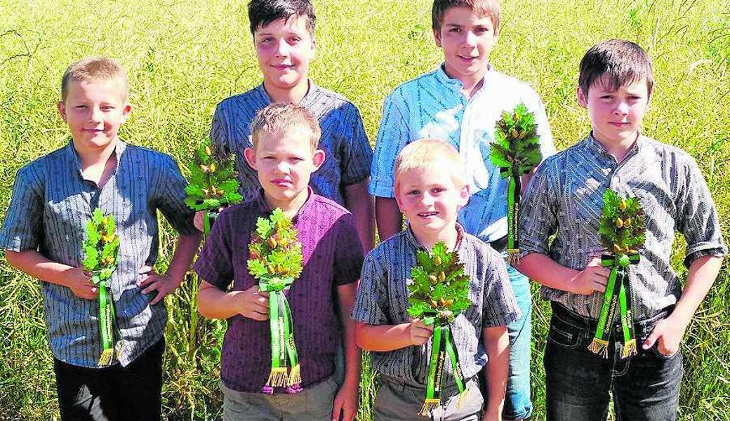 Erfolgreiche Jungschwinger: Vom Schaffhauser Kantonalen Nachwuchsschwingfest Ende Juni brachten Dario Steiger, Adrian Meier, Sandro Eugster (hinten),  Roman Kobler, Thomas Kern (hinten) und Andreas Peter Zweige heim. Irgendwann werden es vielleicht Kränze sein.