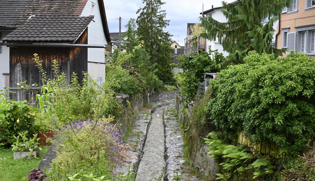 Auf Höhe des Klausweg-Stegs fliesst der Stadtbach eng kanalisiert durch eine wildromantische Hinterhofidylle. Ihm hier mehr Platz zu geben, ist kein leicht zu lösendes Problem.
