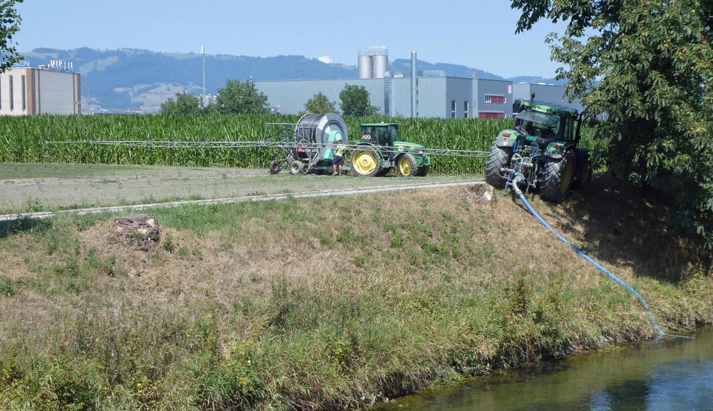 Das frisch angepflanzte Rüeblifeld der Feldhof Gemüse AG am Binnenkanal braucht auch tagsüber Wasser. Andere Kulturen darf man nur noch nachts beregnen. Daran hat der Regen vom 1. auf den 2. August nichts geändert. 