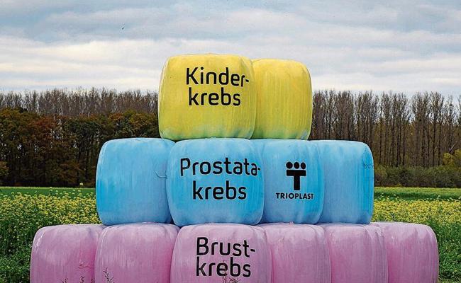 Ein grosser Farbtupfer für eine gute Sache