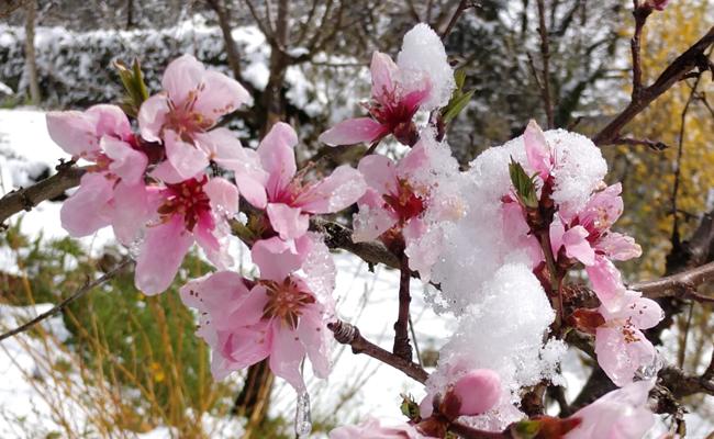 Seitenblick: In den April geschickt