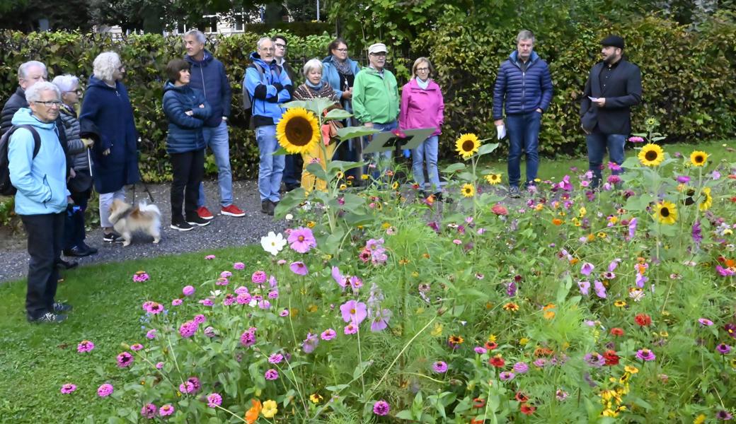 Für die von ihm angesäten üppigen Blumenfelder wird Friedhofsgärtner Kevin Möhl (ganz rechts) immer wieder gelobt.