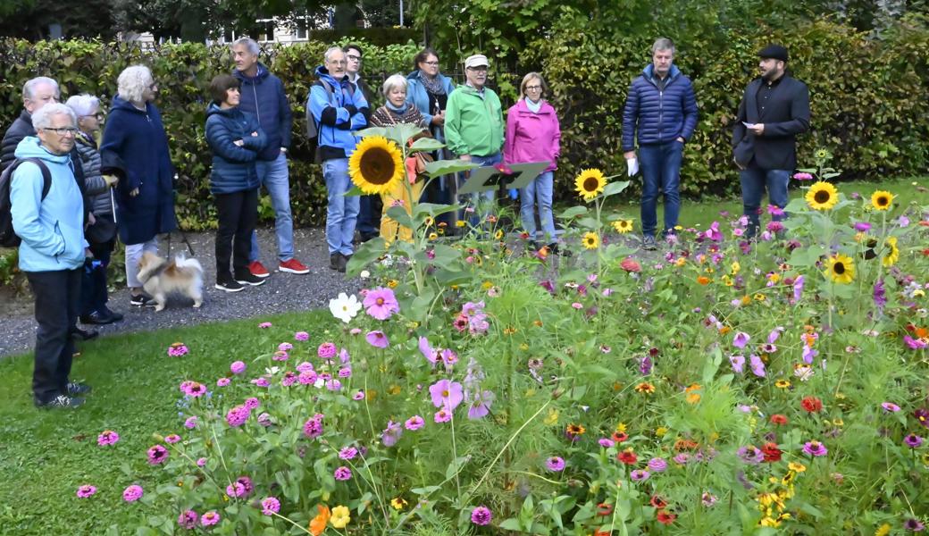 Für die von ihm angesäten üppigen Blumenfelder wird Friedhofsgärtner Kevin Möhl (ganz rechts) immer wieder gelobt.