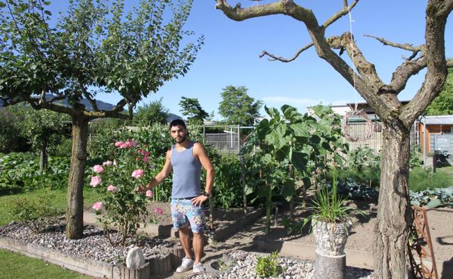Den Schrebergarten-Bestand schützen