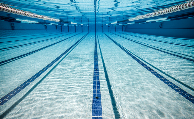 Wer kennt sie nicht: unfreiwillige und amüsante Schwimmfreu(n)de