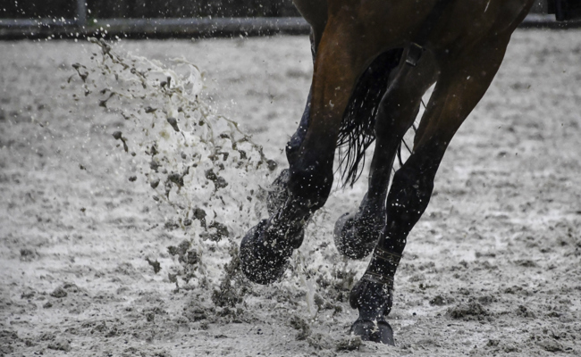 Pferde und Reiterinnen sowie Reiter trotzen in Altstätten dem Regen