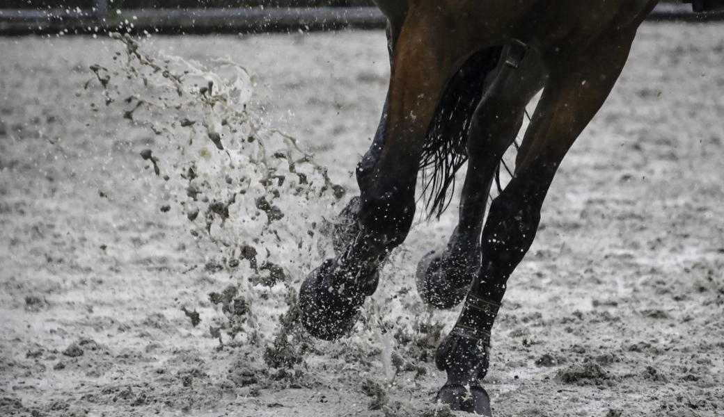 Pferde und Reiterinnen sowie Reiter trotzen in Altstätten dem Regen