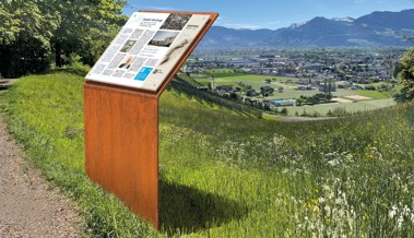 10'000 Franken zusätzlich: Vom Kanton kommt mehr Geld für den neuen Industrieweg als geplant