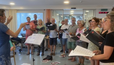 Evangelischer Kirchenchor gab ein Ständli im Geserhus