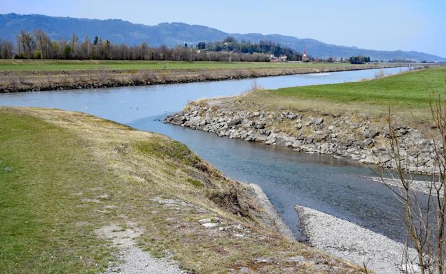 Platz für Auenwald muss es geben