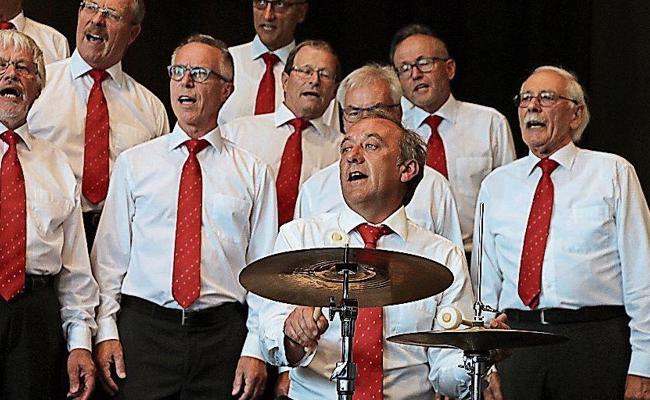 Ein erfolgreiches  Musikerleben