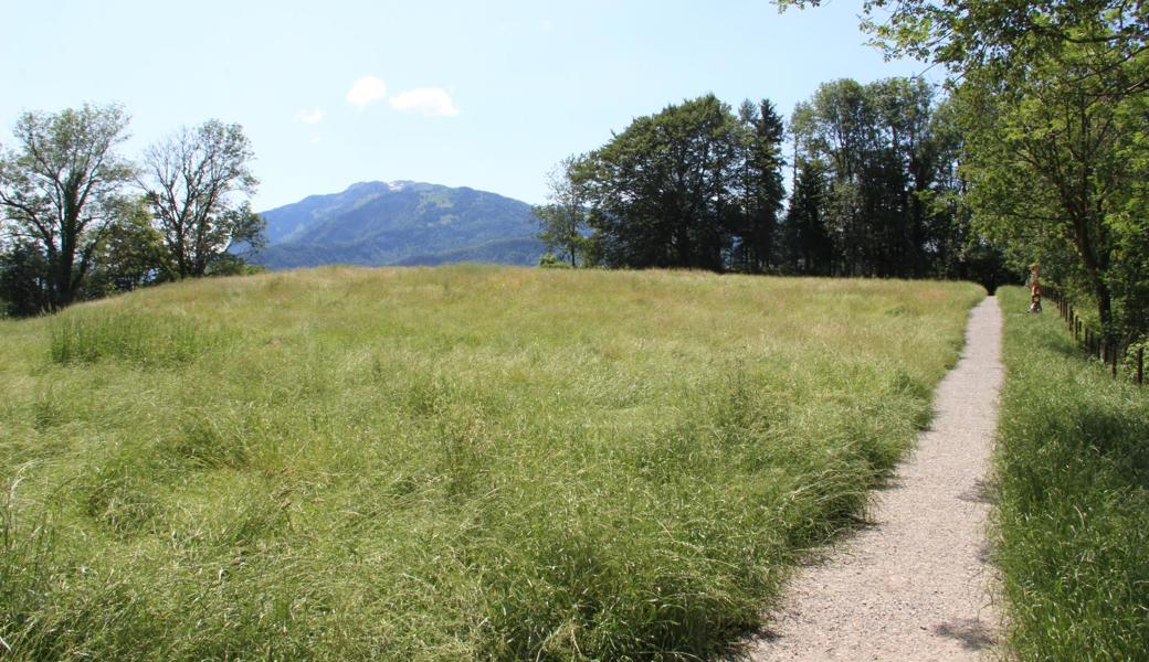 Von der Aussichtsplattform geht es nicht mehr auf dem gleichen Weg nach unten, sondern ein Rundweg ermöglicht mehr Abwechslung.