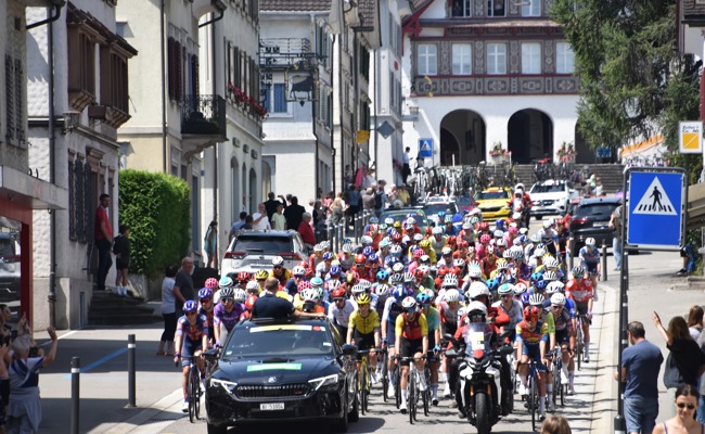 Vierte Etappe der Tour de Suisse: Velofahrender Bienenschwarm zog durchs Rheintal