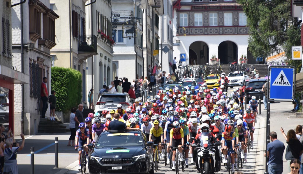 Vierte Etappe der Tour de Suisse: Velofahrender Bienenschwarm zog durchs Rheintal