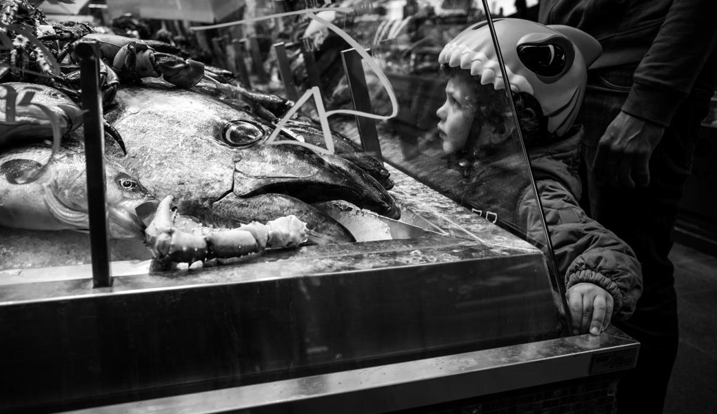 «M(eat)ing» in der Torvehallerne in Kopenhagen