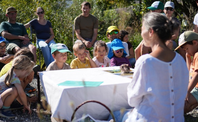 Der Garten aus Igelaugen: Familien bauen neue Verstecke