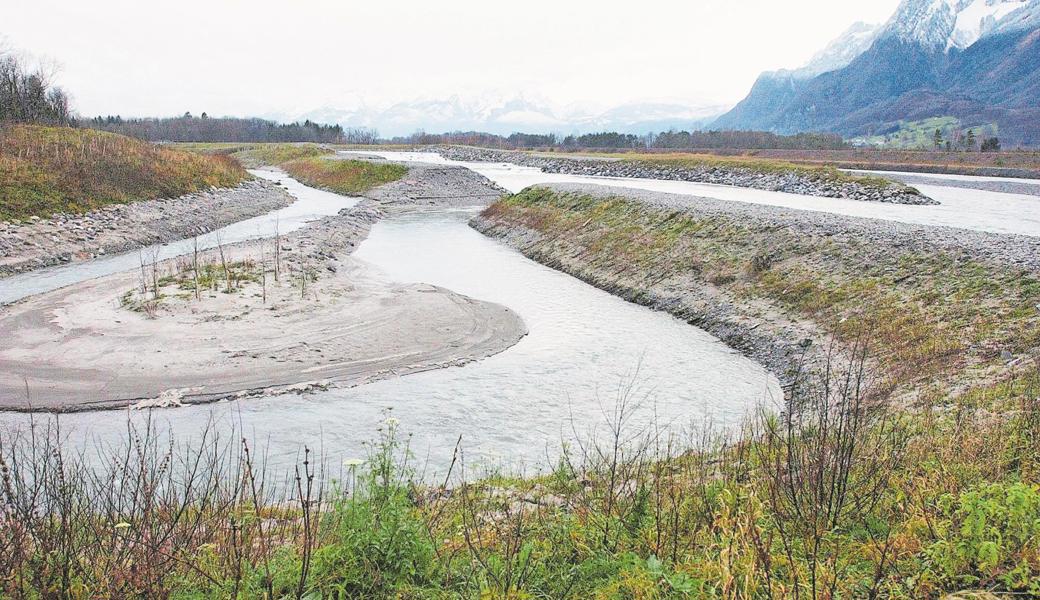 Auslauf für den Alpenrhein: Illmündung mit Rückhaltefläche und Rhein im Hintergrund. Ein auf der Höhe von Rüthi bereits realisiertes Projekt, das Ökologie und Hochwasserschutz berücksichtigt. 