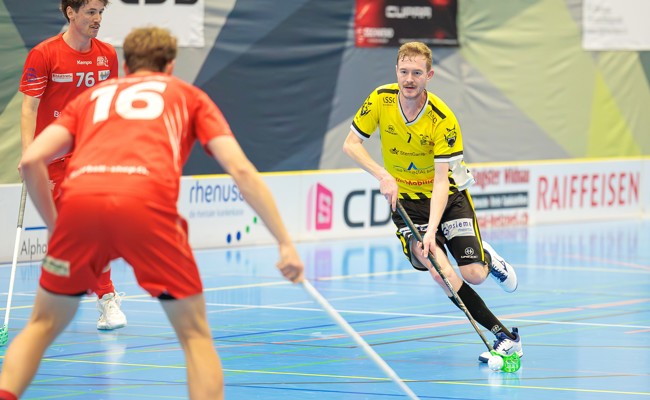 Beeindruckende Gators-Siegesserie geht in Frauenfeld weiter