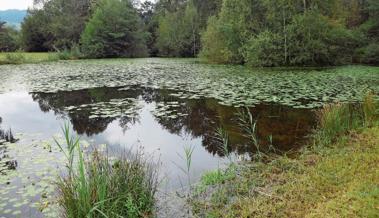 Naturreservat Burst: Tag der offenen Tür