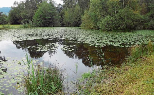 Naturreservat Burst: Tag der offenen Tür
