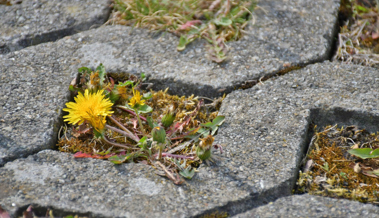 In schweren Zeiten eine neue Blickrichtung finden