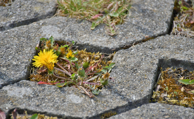 In schweren Zeiten eine neue Blickrichtung finden