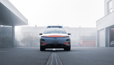 Sachschäden und Ruhestörungen: Kantonspolizei zieht Bilanz zur Halloween-Nacht Sachschäden und Ruhestörungen: Kantonspolizei zieht Bilanz zur Halloween-Nacht