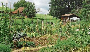 Ein Garten für nächstes Jahr?